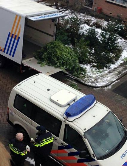 culture-cannabis-saisie-police.jpg