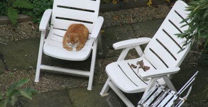 Bert is hier