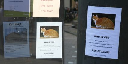 Bert is weg