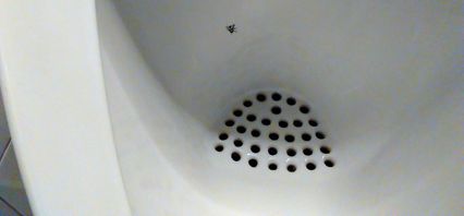 mouche-dans-urinoir.jpg
