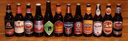 12 bières d'automne des Pays Bas bien allignées
