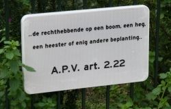de rechthebbende op een boom, een heg, een heester of enig andere beplanting