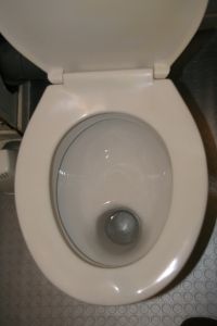 trou de WC à l'allemande