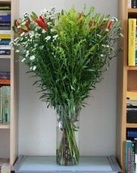 fleurs