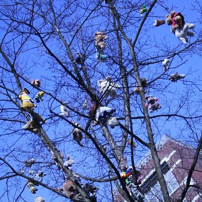 Suicide collectif de nounours sous le ciel bleu