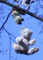 nounours suicidé