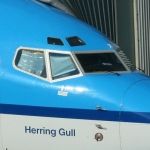 Herring gull écrit sous les fenètres du cockpit