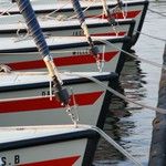Proues de bateaux rangées