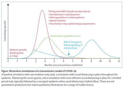 A baseline simulation with case isolation only (red); a simulation with social distancing in place throughout the epidemic, flattening the curve (green), and a simulation with more effective social distancing in place for a limited period only, typically followed by a resurgent epidemic when social distancing is halted (blue). These are not quantitative predictions but robust qualitative illustrations for a range of model choices.
